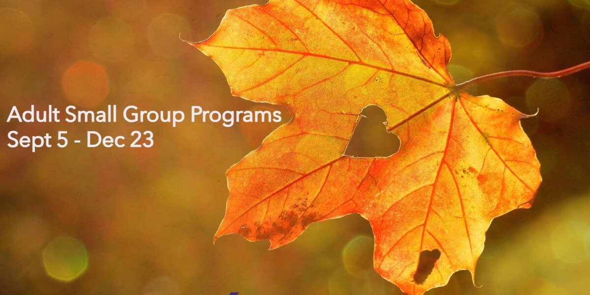 Move Better this Fall with Adult Small Group Programs